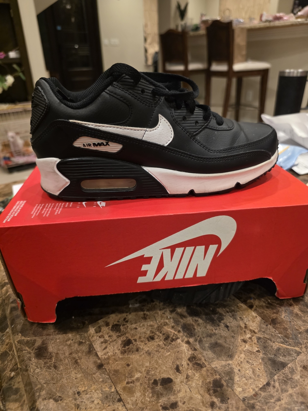 Nike Kids Black and White Air Max Low Top Sneaker